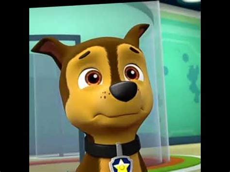 paw patrol sad|paw patrol chase sad crying.